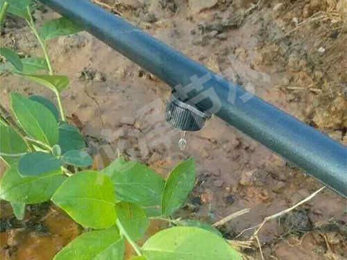 壓力補償?shù)晤^